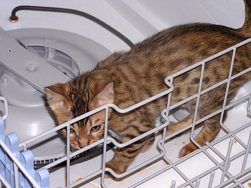 Lancelot So what does this do